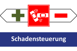Schadensteuerung: Fluch oder Segen?
